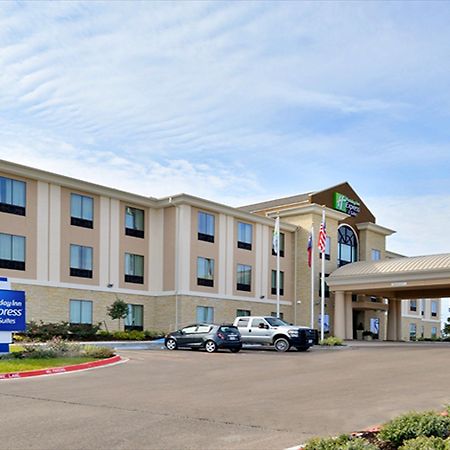 Holiday Inn Express And Suites Schulenburg By Ihg Zewnętrze zdjęcie